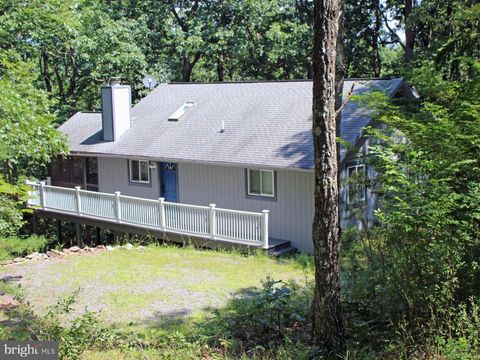 141 MALLARD DRIVE BASYE VA 22810