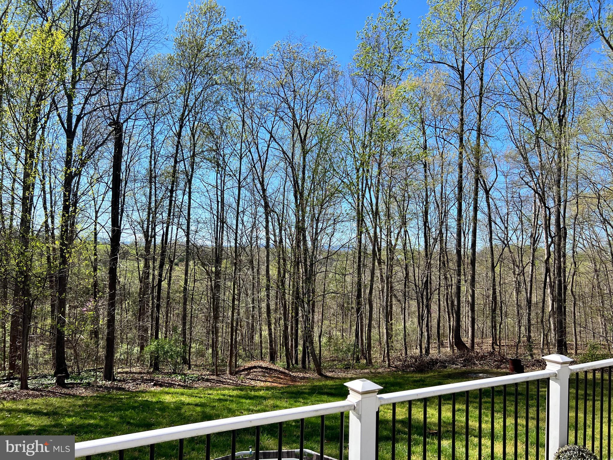 17006 BLACK OAK DRIVE