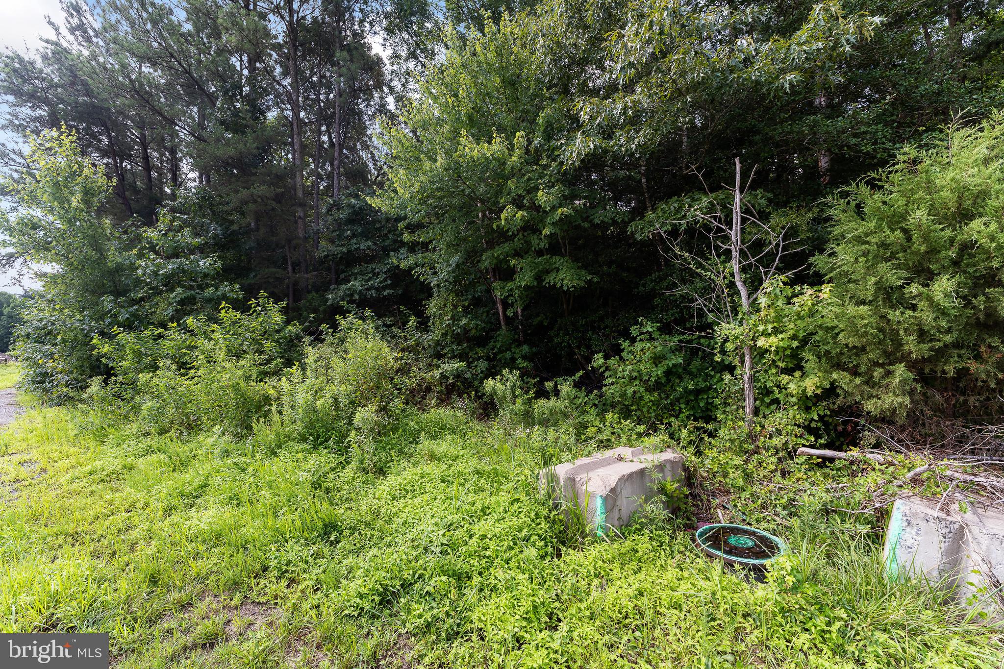 NONE AVAILABLE - Land