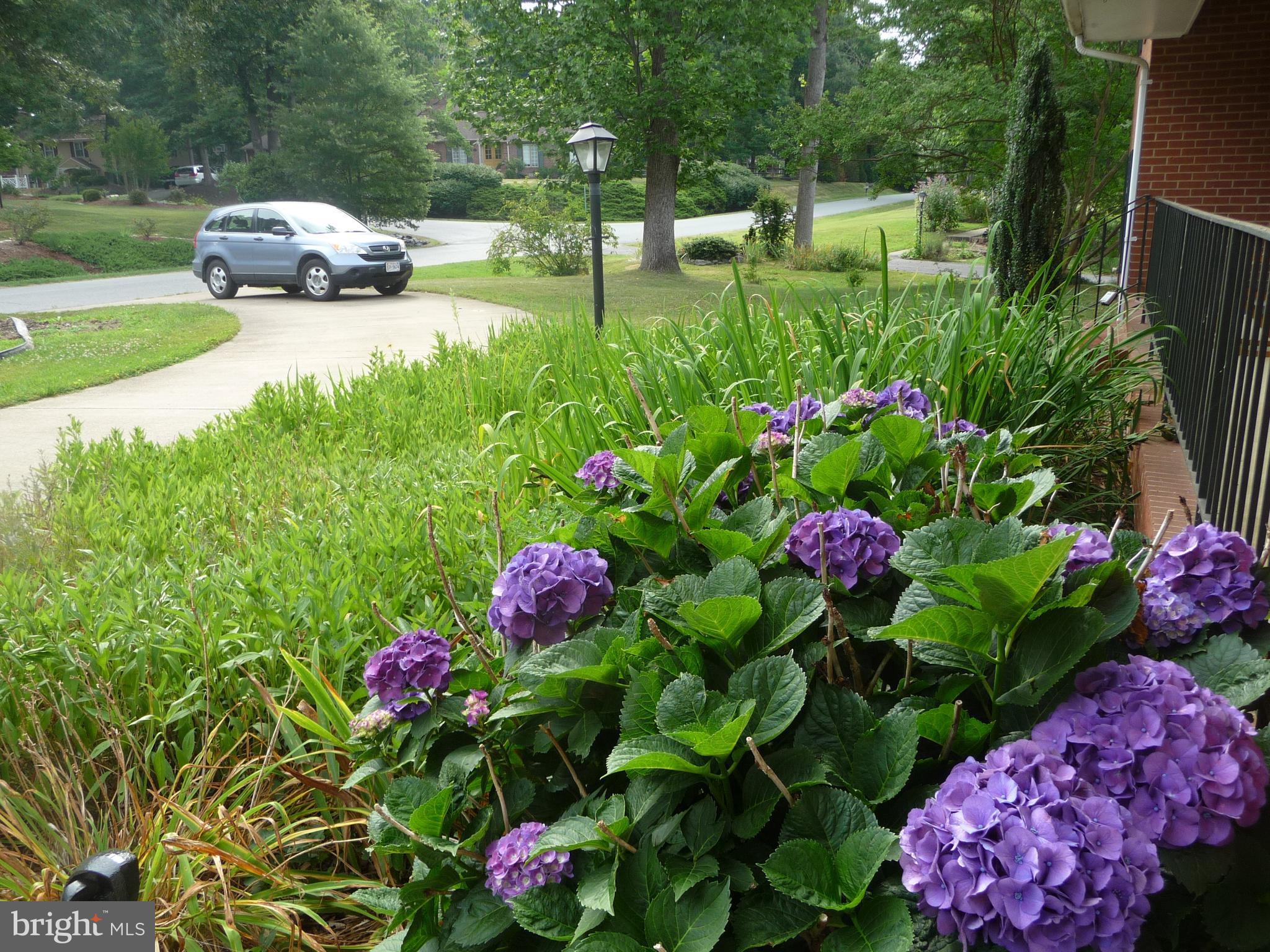 CLEARVIEW HEIGHTS - Residential Lease