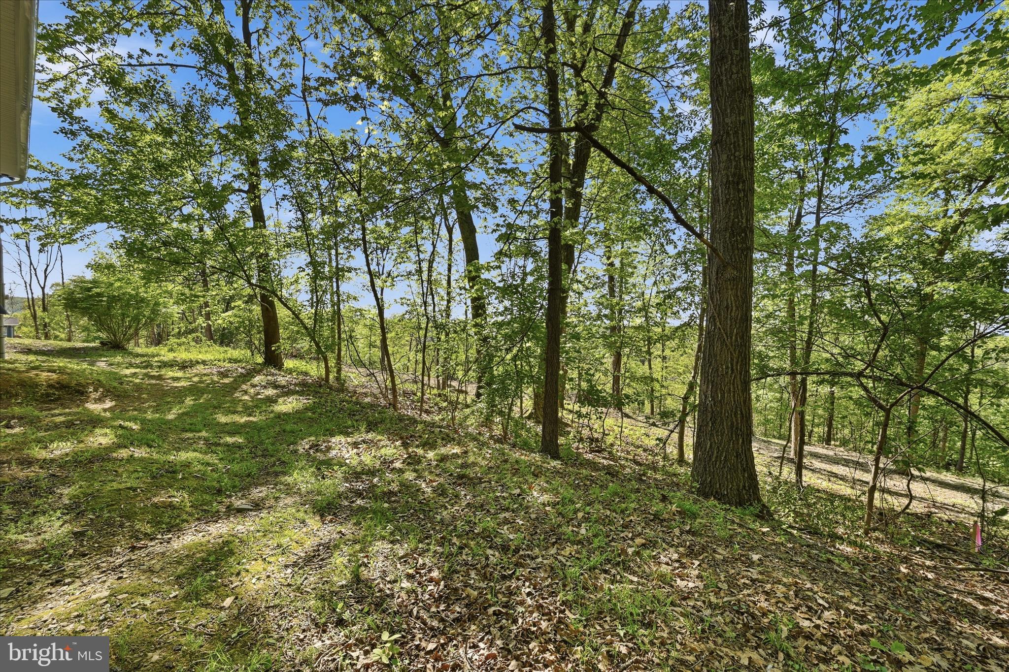 SHANNONDALE - Residential