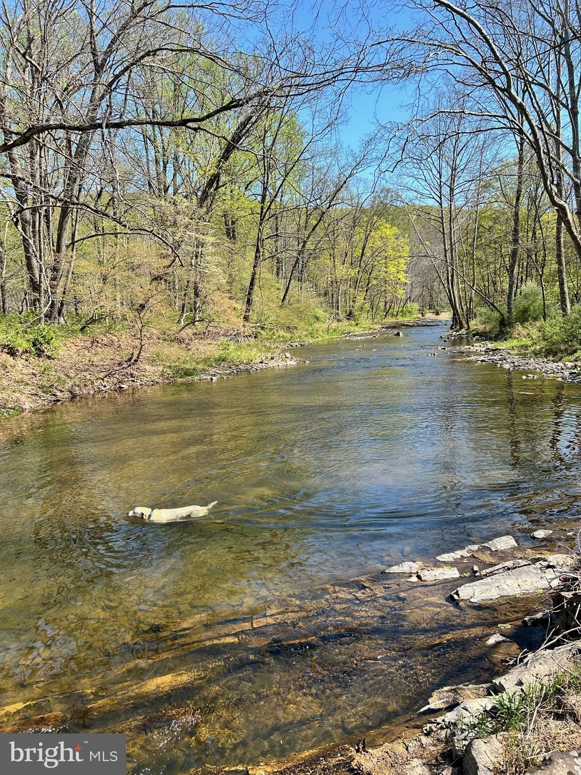 RT 3/3-LIT CACAPON LEVELS