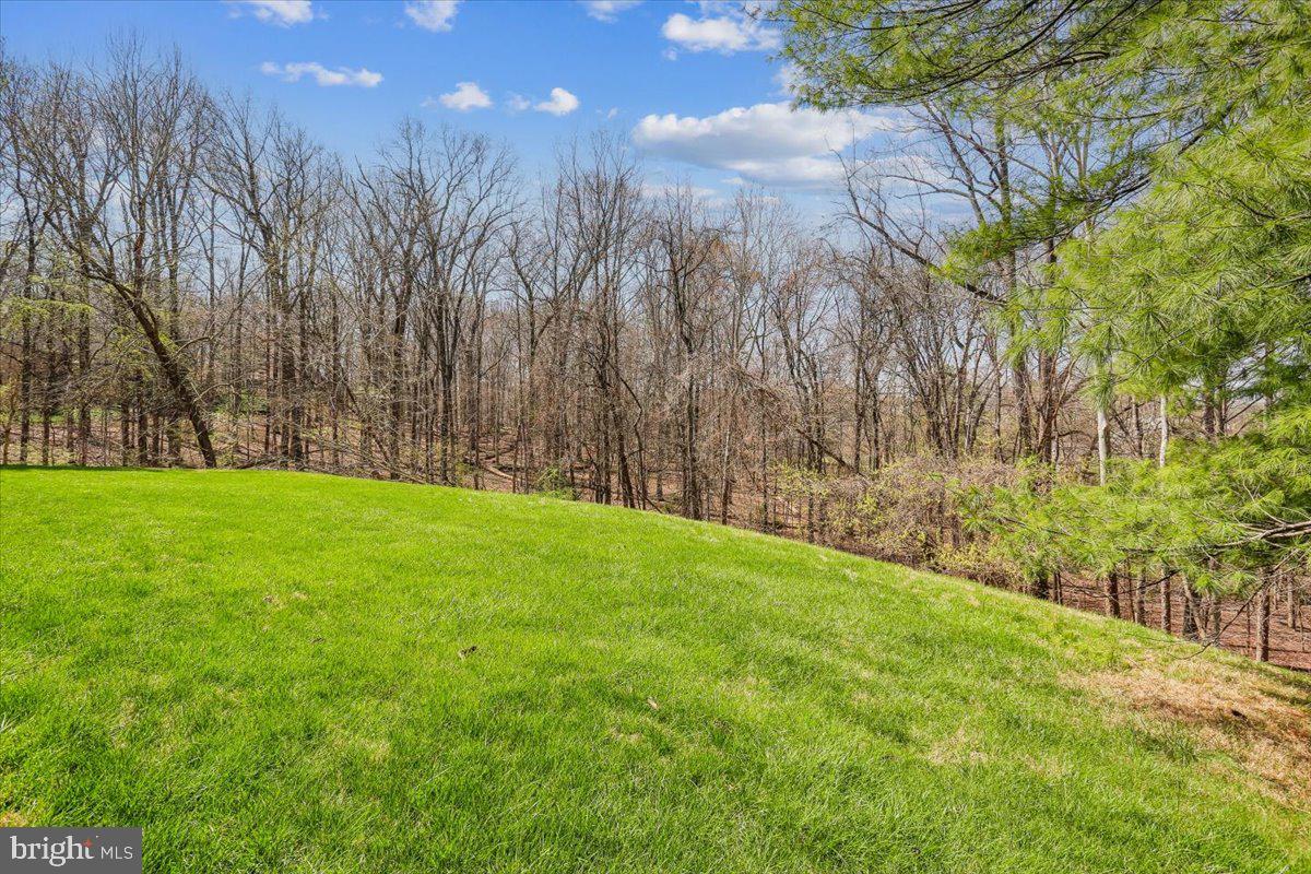 POTOMAC VIEW ESTATES - Residential