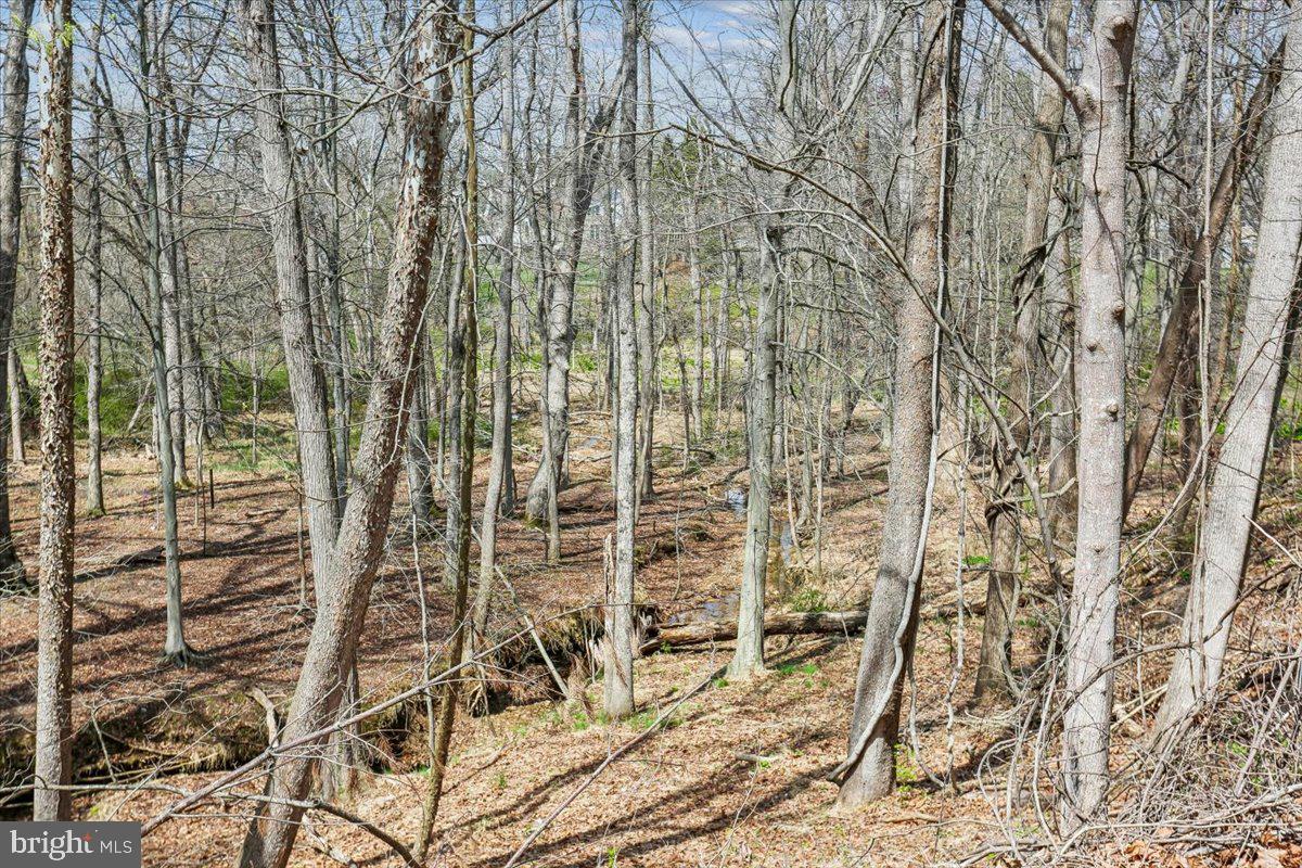 POTOMAC VIEW ESTATES - Residential