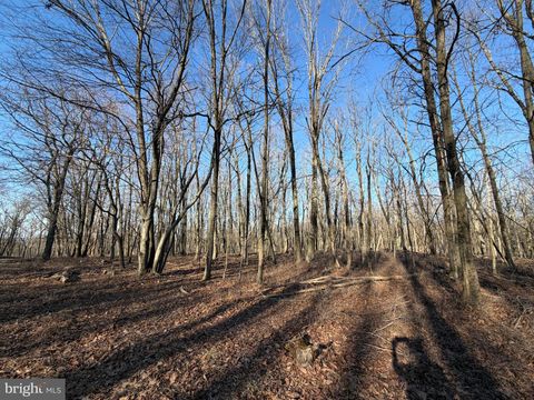 Vacant Land For Sale - 386 Davos Circle<br/> ZION GROVE, PA 17985