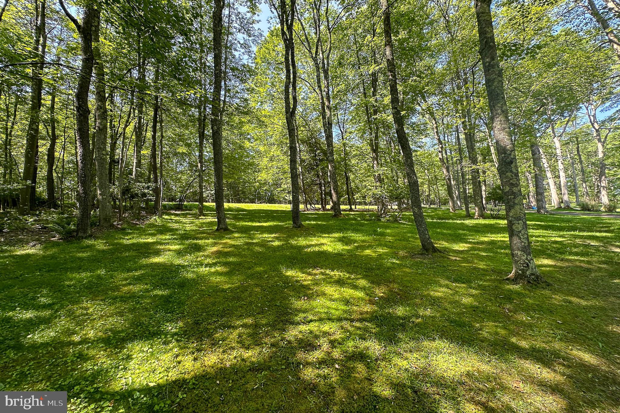 PENN COVE PROPERTIES - Residential