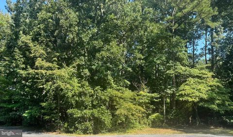 Lot 1980 SHIPS COURT GREENBACKVILLE VA 23356
