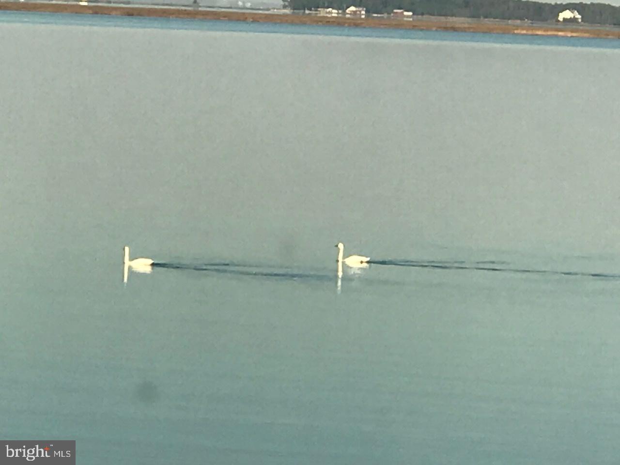 BROMWELLS ADVENTURE - Residential