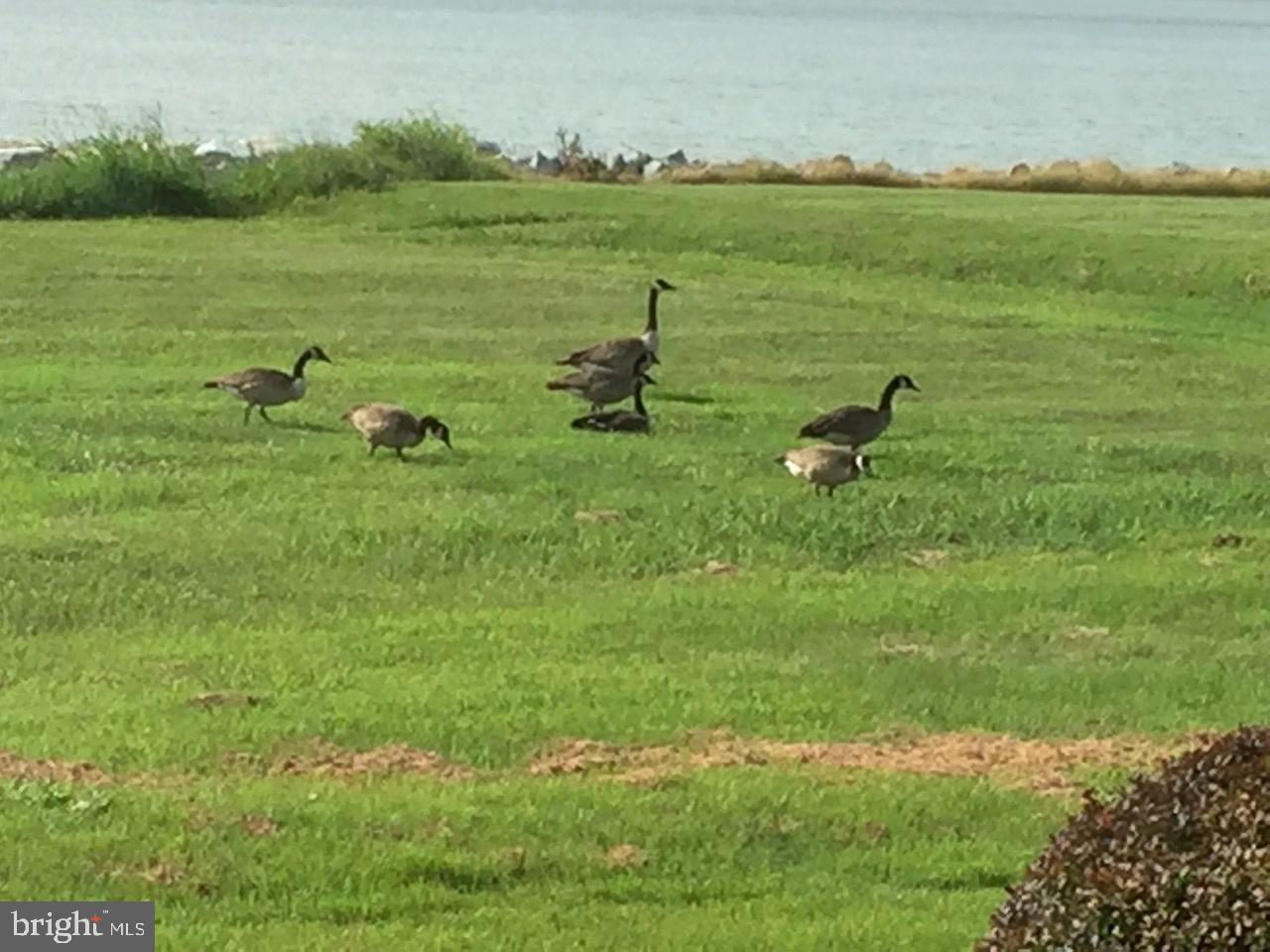 BROMWELLS ADVENTURE - Residential