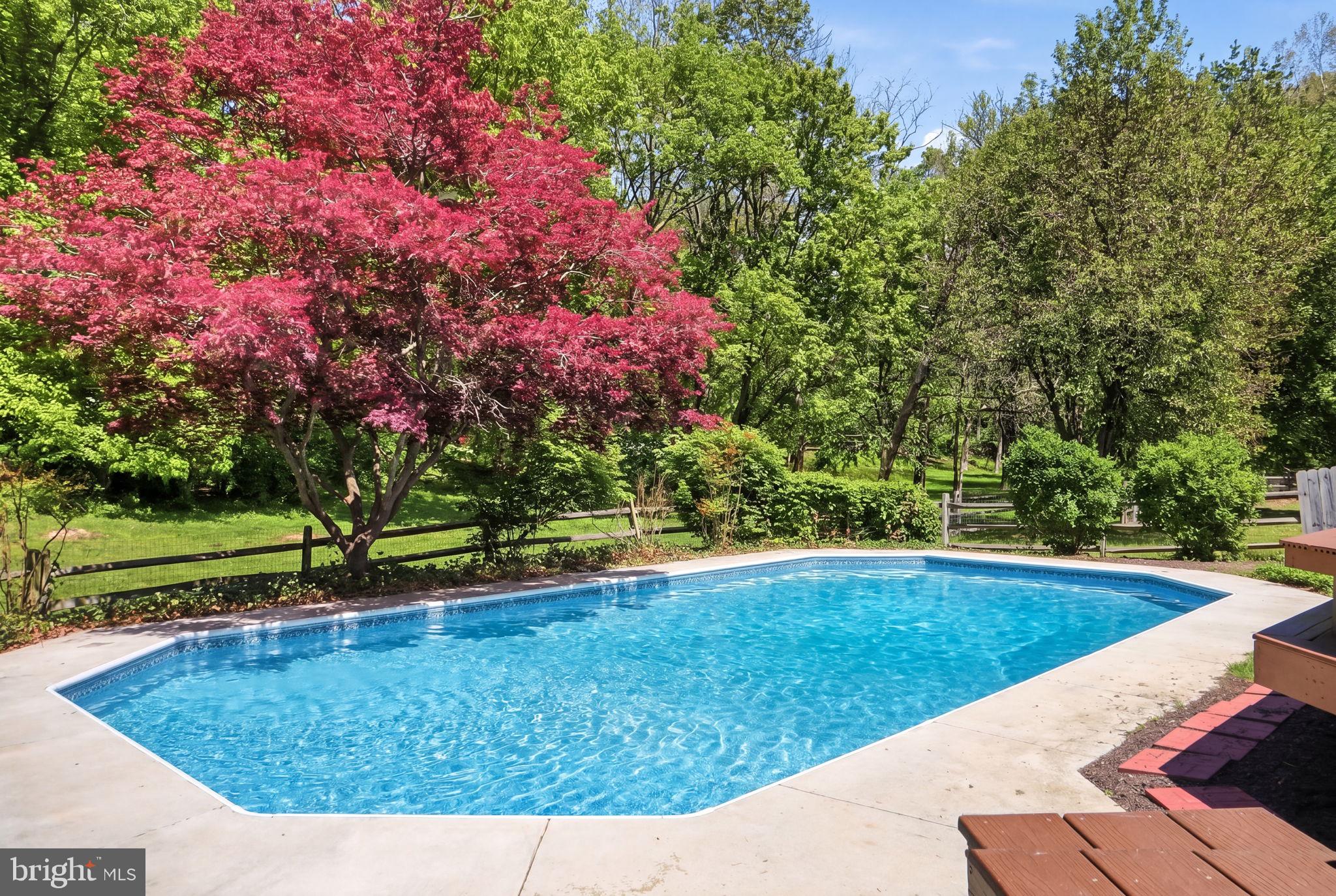 SALEMS GRANT - Residential