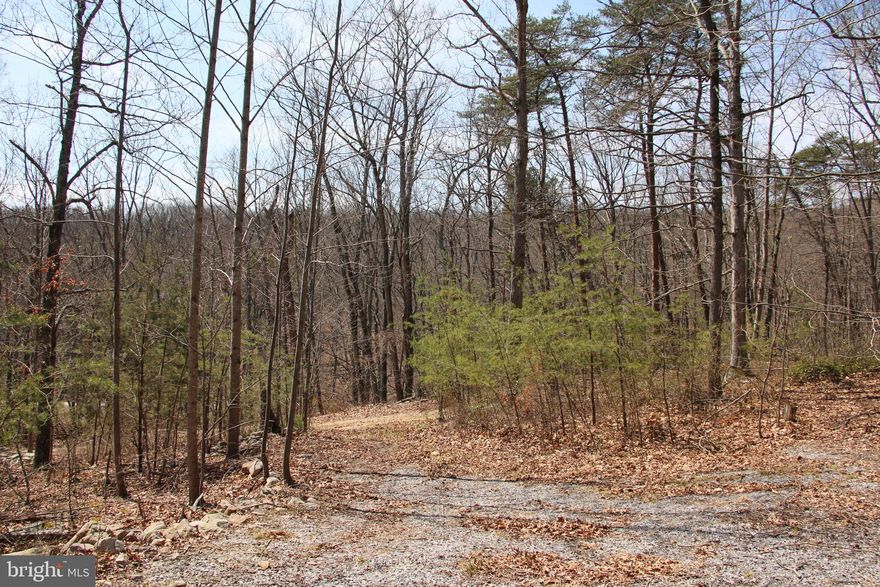 This lot has builder friendly topography and is nestled among similar size lots in the Shenandoah Forest.  The lot had electric service in the past, meter and pole still present.  This service would need to be turned back on for the future owner.  Additionally, a nice driveway and parking area is established.  Located only minutes away from all the recreational opportunities in this beautiful area.  Convenient to many wonderful outdoor activities, as well as the infrastructure and fun that the cities and towns of the region provide.   The Shenandoah River is just steps away from the neighborhood as well.  Bring your dreams and ideas to this future home site.
