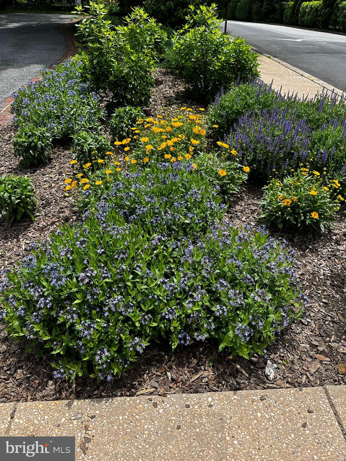 CHATHAM - Residential