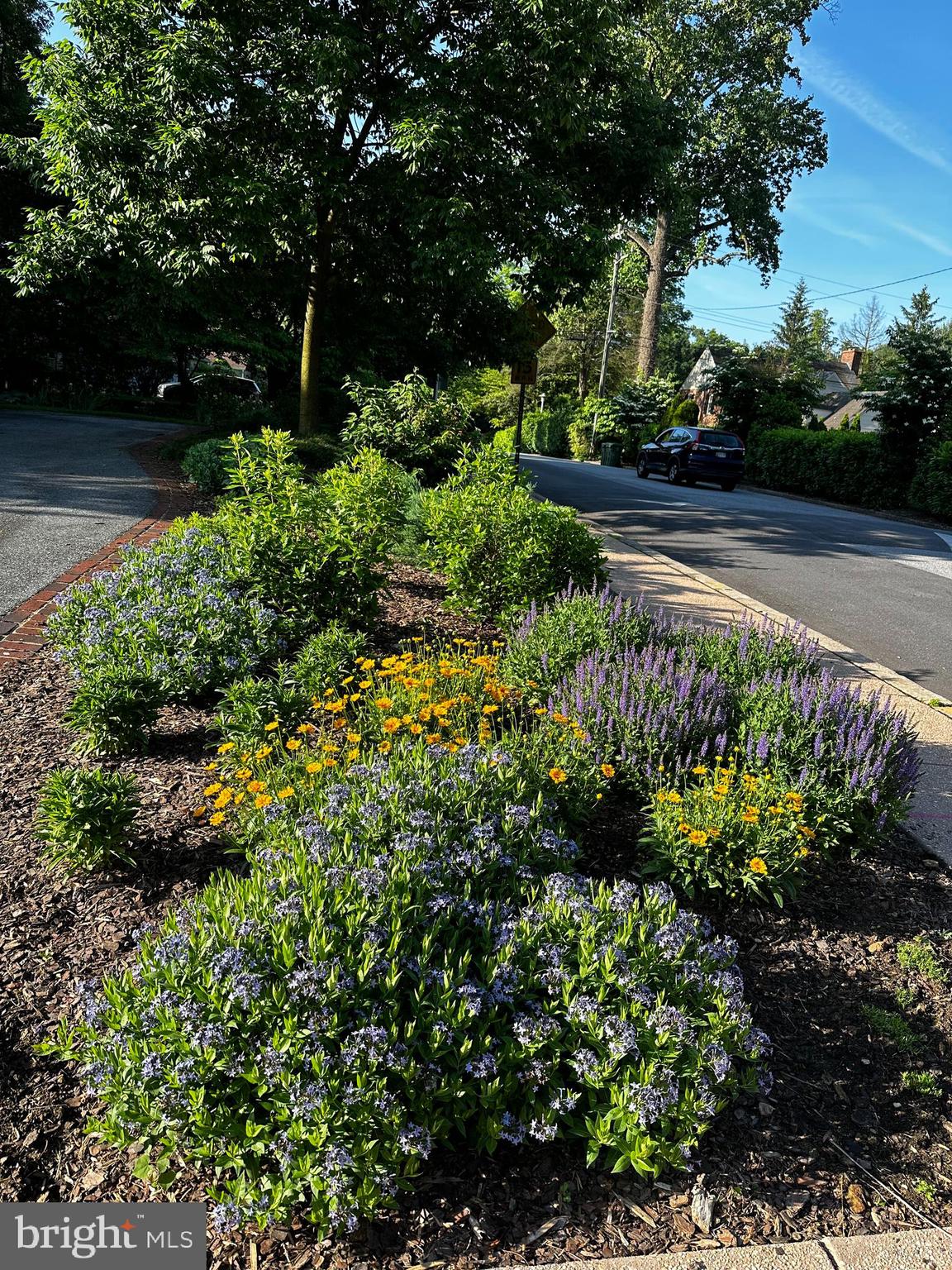 CHATHAM - Residential