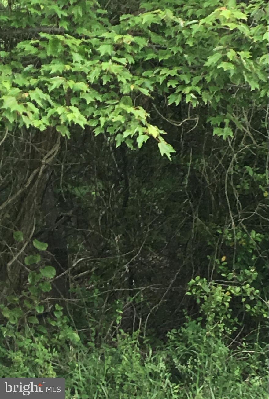 Incredible opportunity to have your own private 5 acre setting. Listed well below assessed tax valuation for a quick sale. Build your plans or ours from top respected builders of southern Maryland. Great location for hunting, camping, archery, hiking, atv's and so much more.  Weather you build your dream home now or just enjoy the 5 splendid acres for a while. The choice is yours!  See listing agent for additional information on available builders, affordable financing options including lot/land, construction and more.