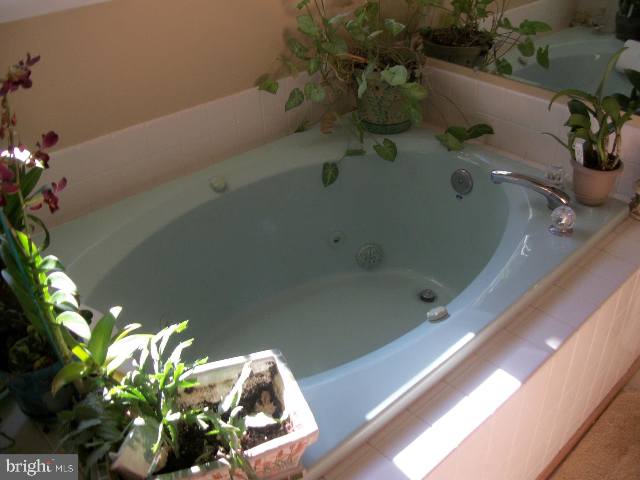 ESPERANZA FARMS - Residential