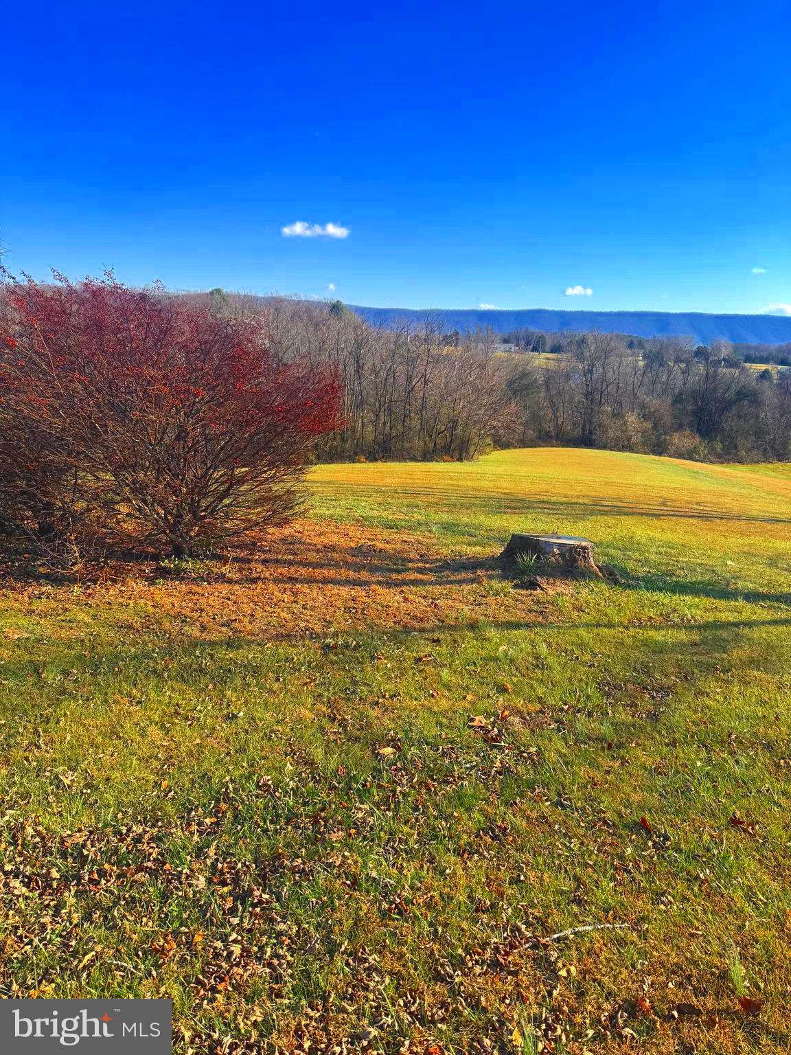 522 MANOR HILL DRIVE