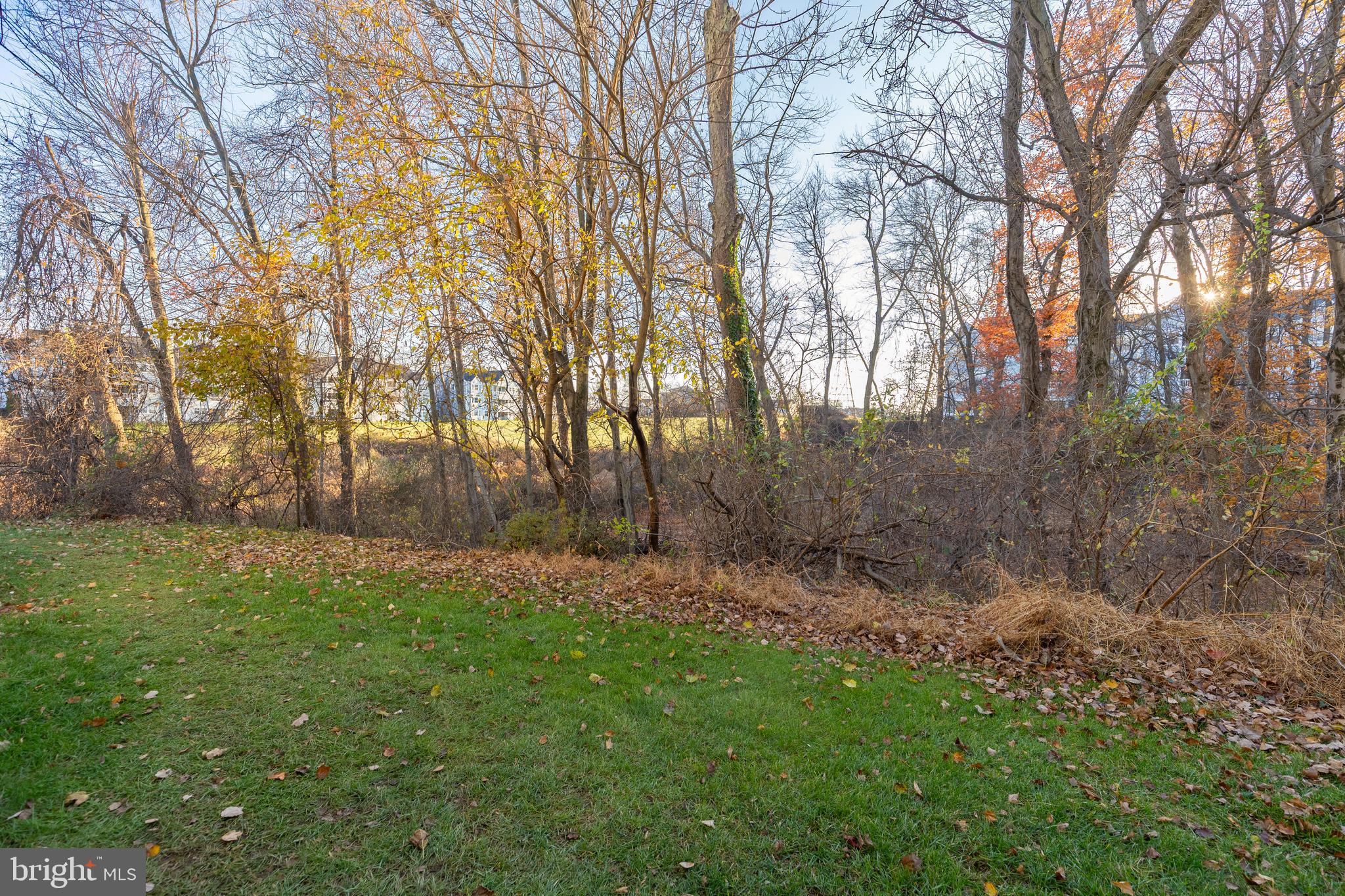 MONTGOMERY RUN - Residential