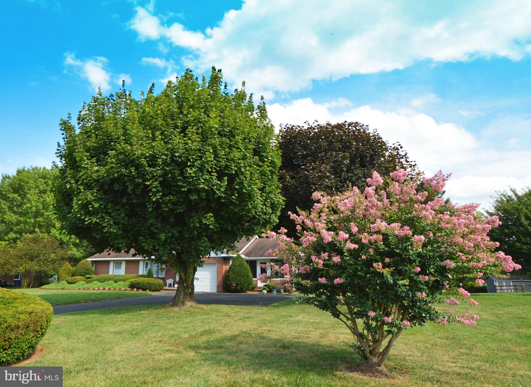 PARKTON - Residential