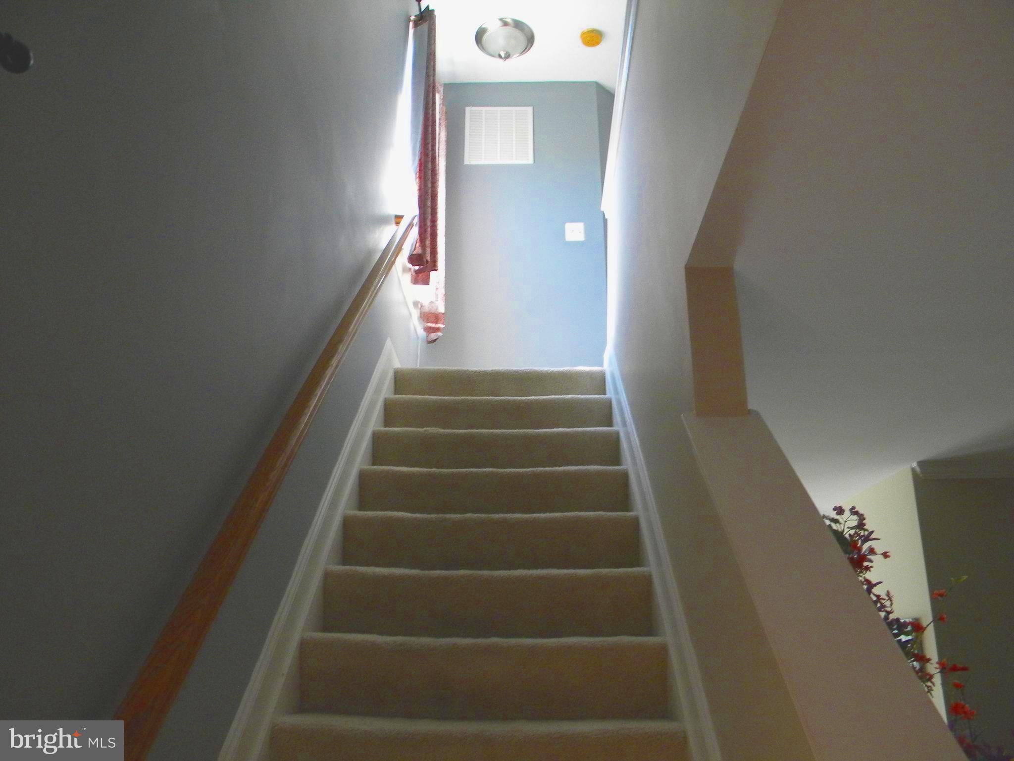 IVY RIDGE - Residential