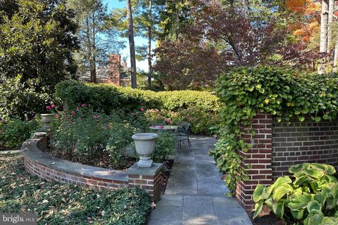 listing image 46