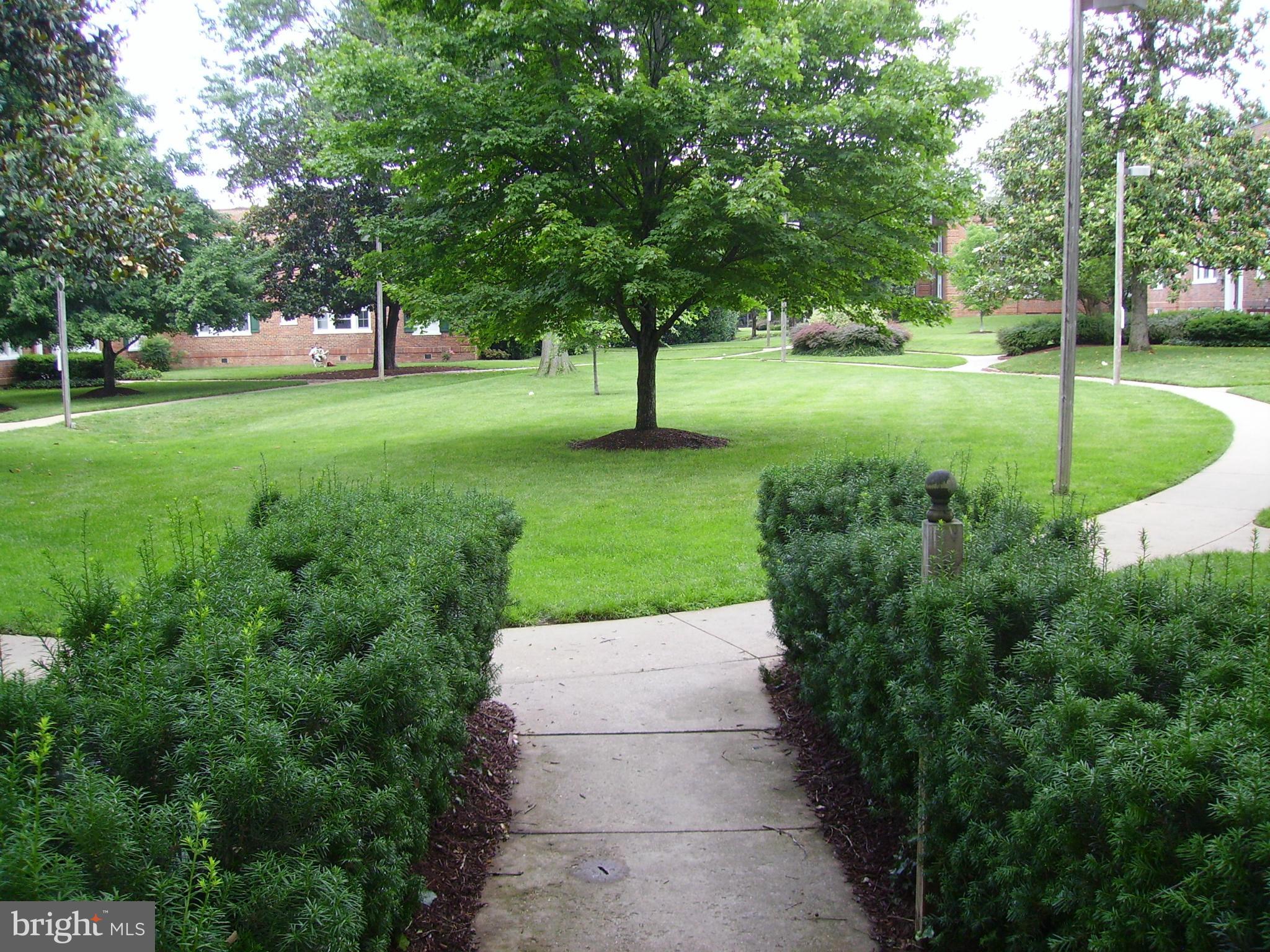 COLONIAL VILLAGE - Residential Lease