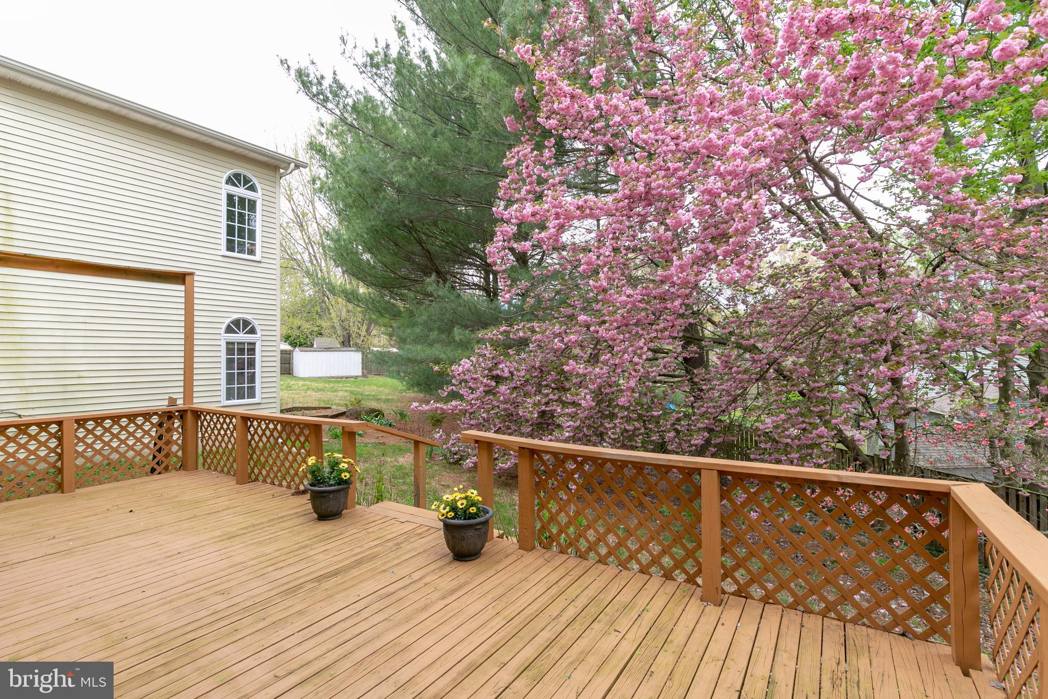 CHARTRIDGE - Residential