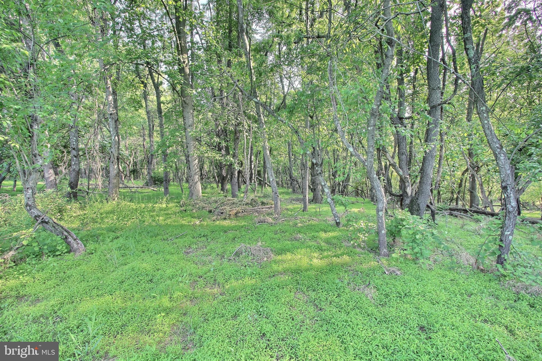 NEEDWOOD ESTATES - Residential