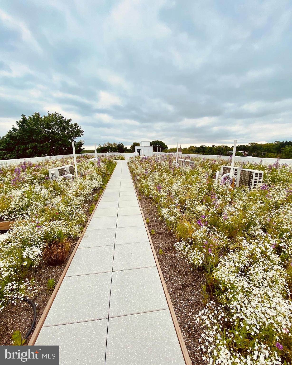 MANAYUNK - Residential Lease