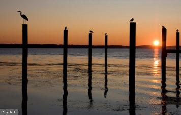 CANVASBACK COVE - Residential