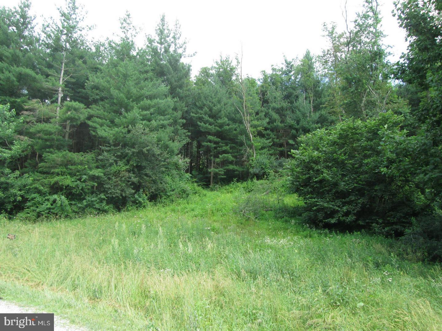 WESTMINSTER ELECTION DISTRICT - Residential