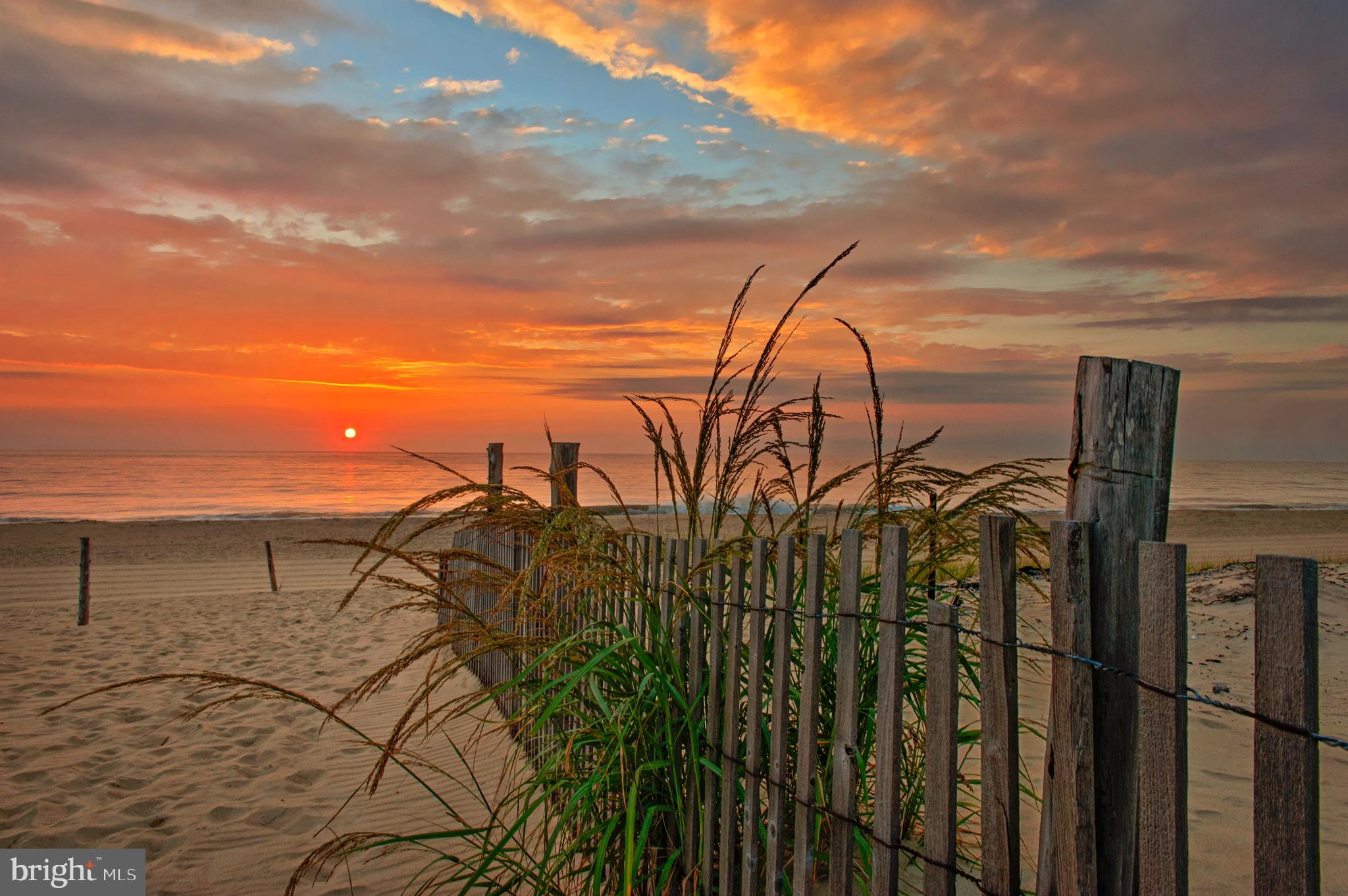 WOLFE RUNNE - Residential