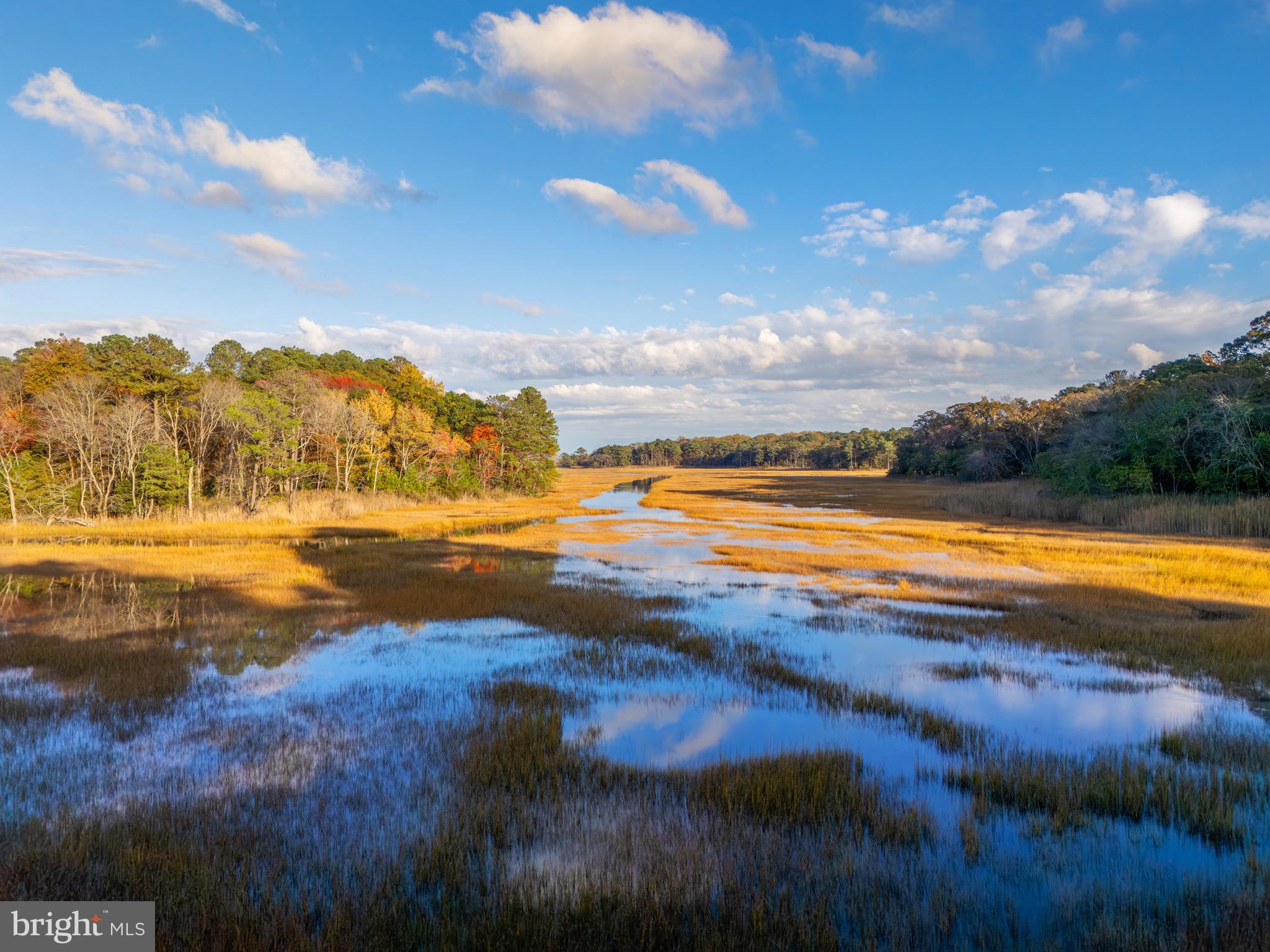 WOLFE RUNNE - Residential