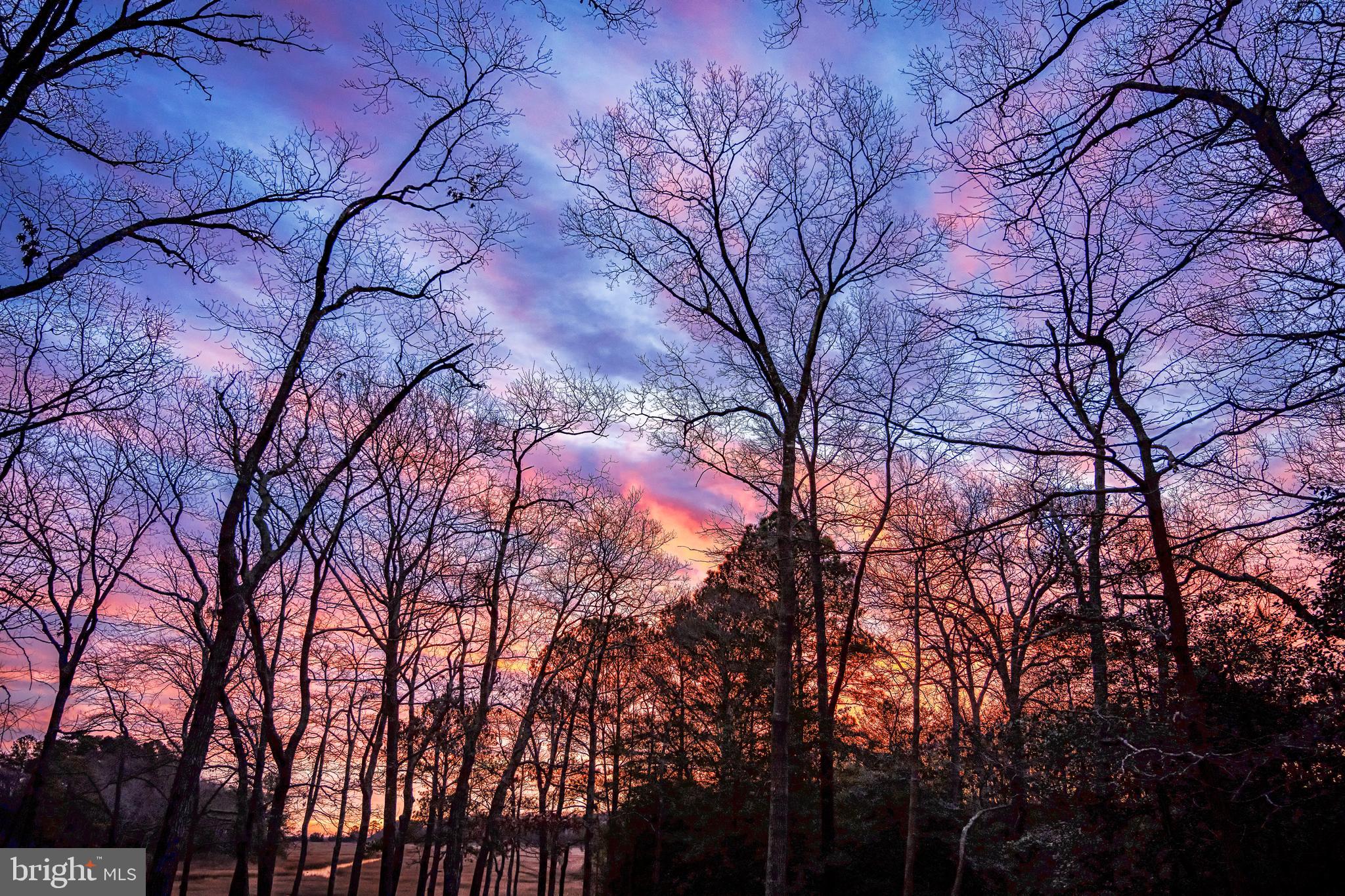 WOLFE RUNNE - Residential