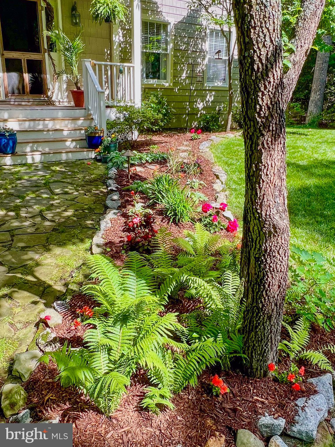 WOLFE RUNNE - Residential