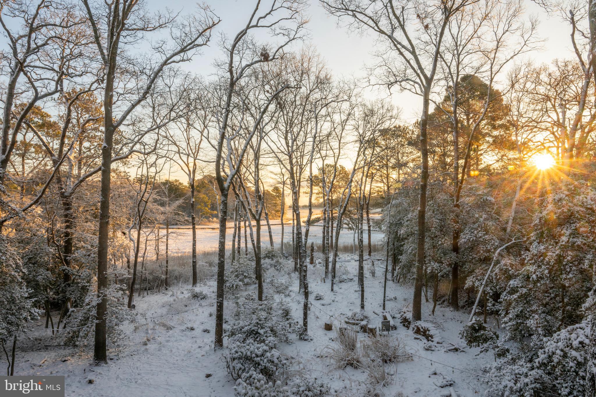 WOLFE RUNNE - Residential