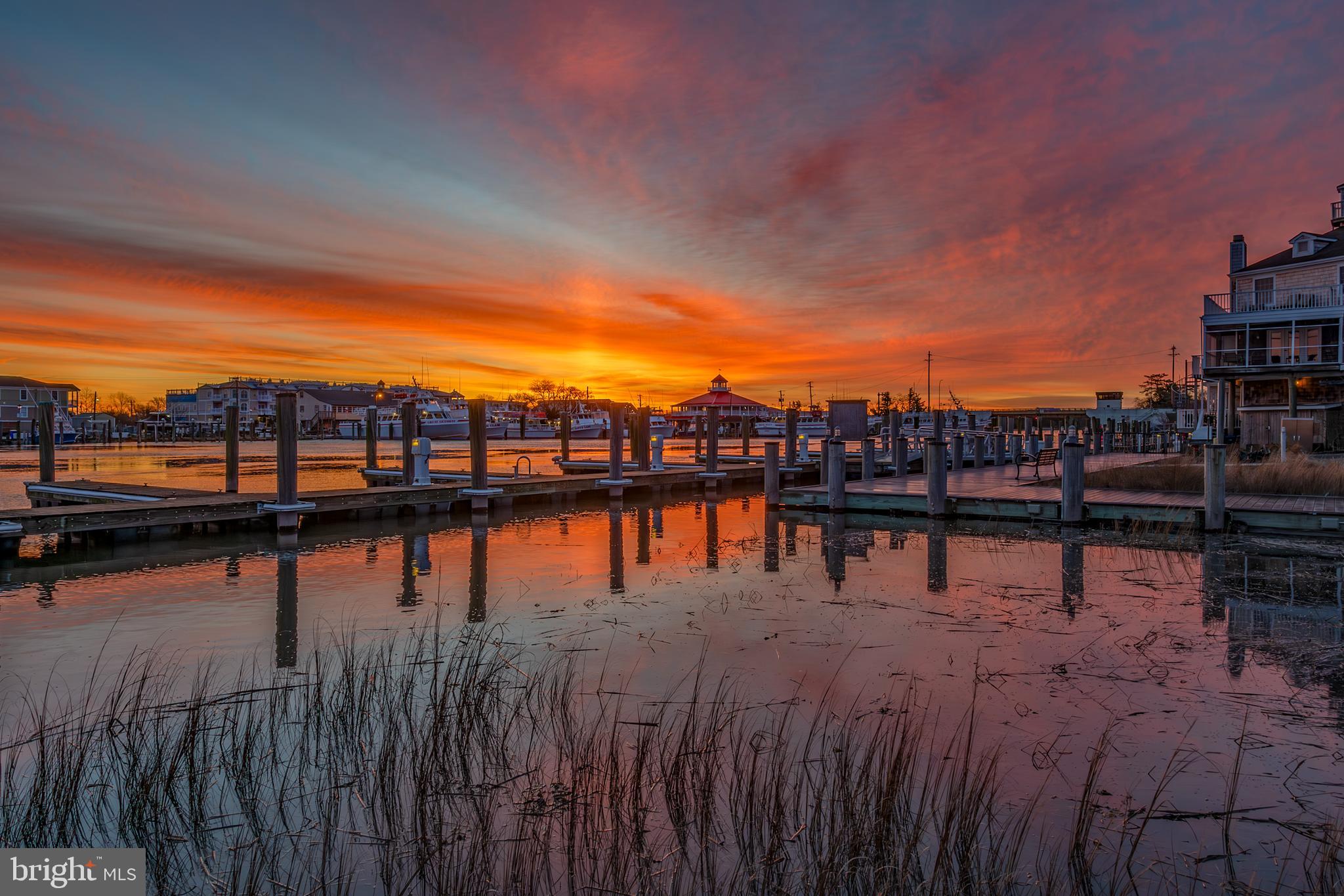 WOLFE RUNNE - Residential