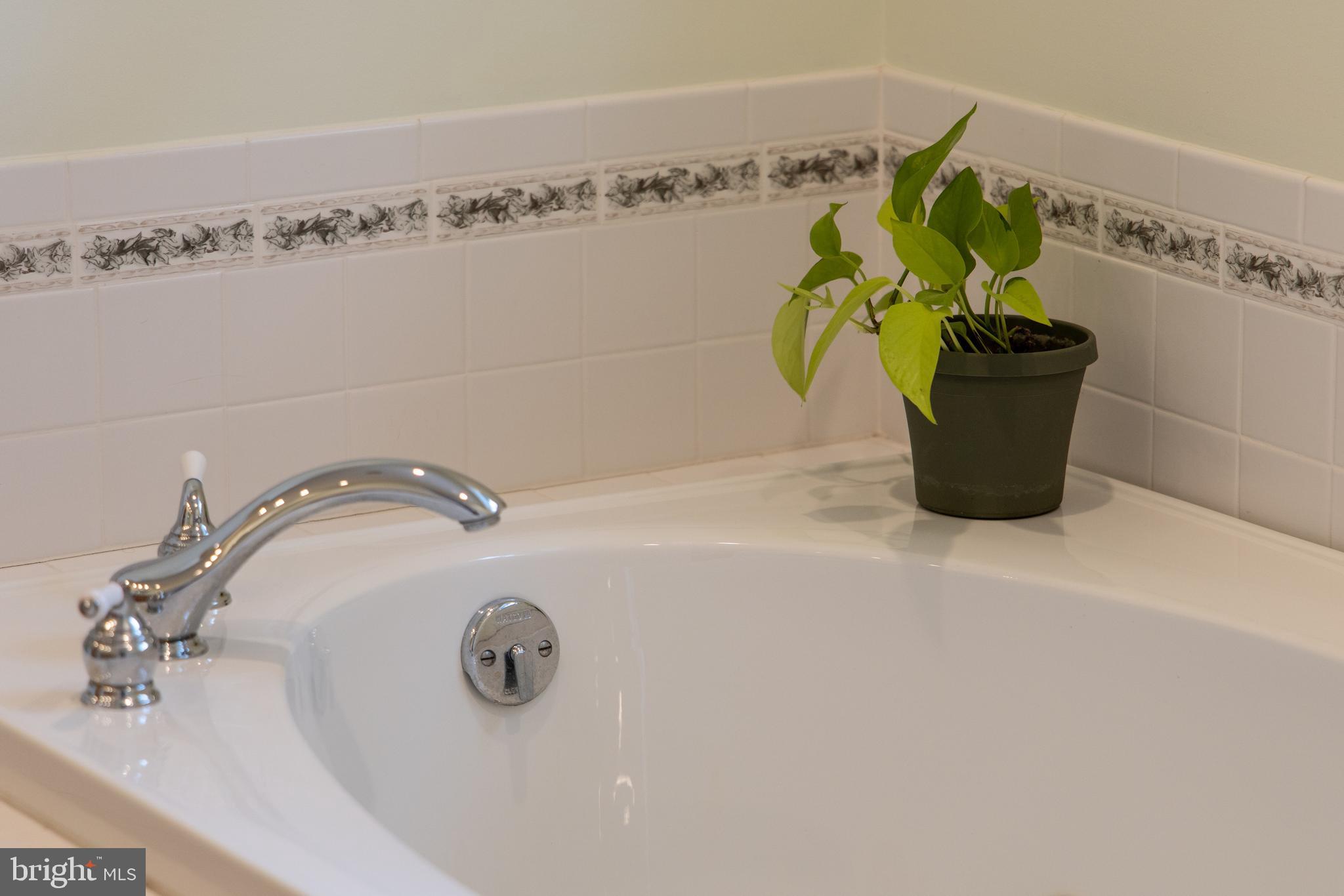 WOLFE RUNNE - Residential