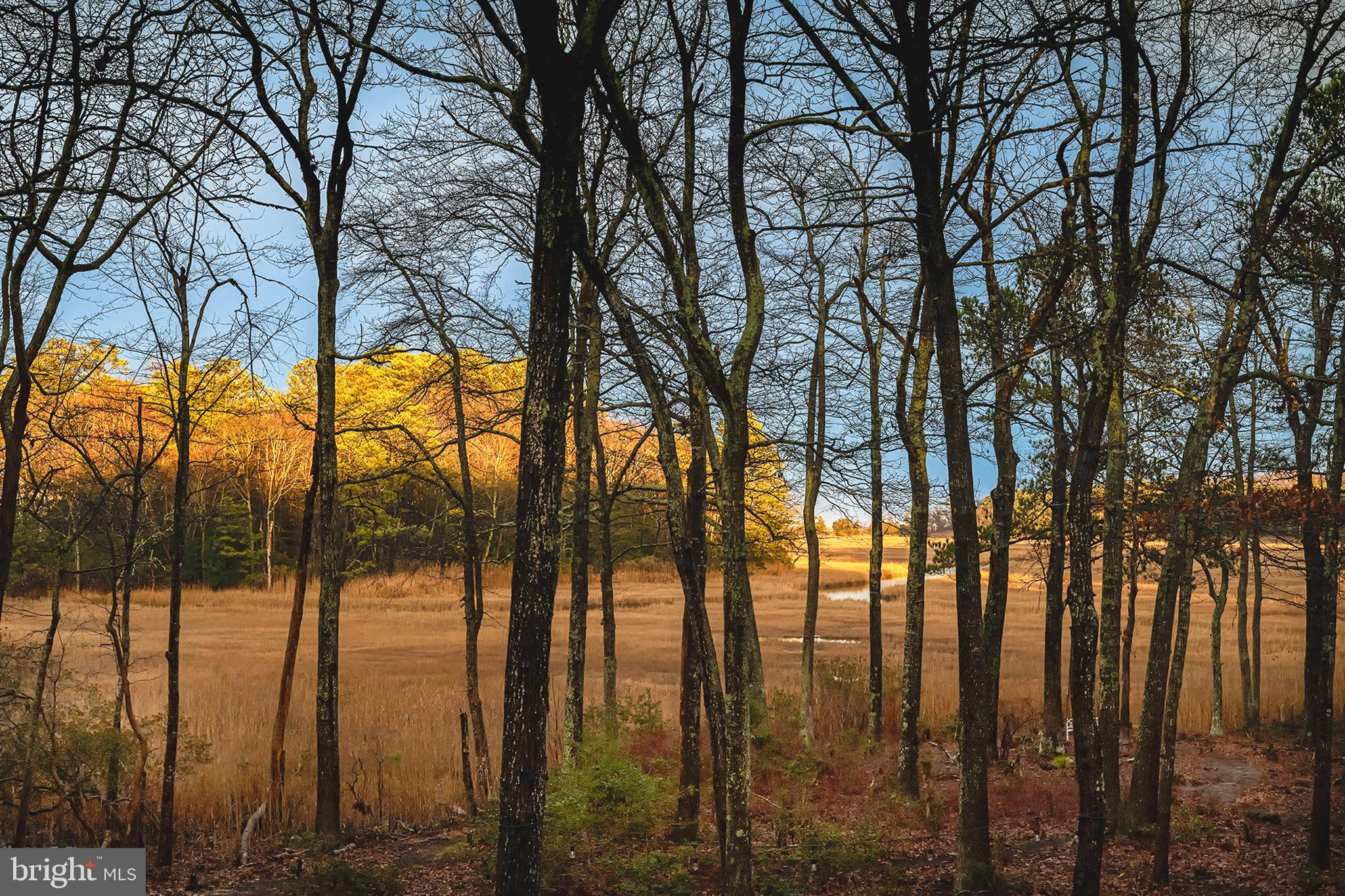 WOLFE RUNNE - Residential