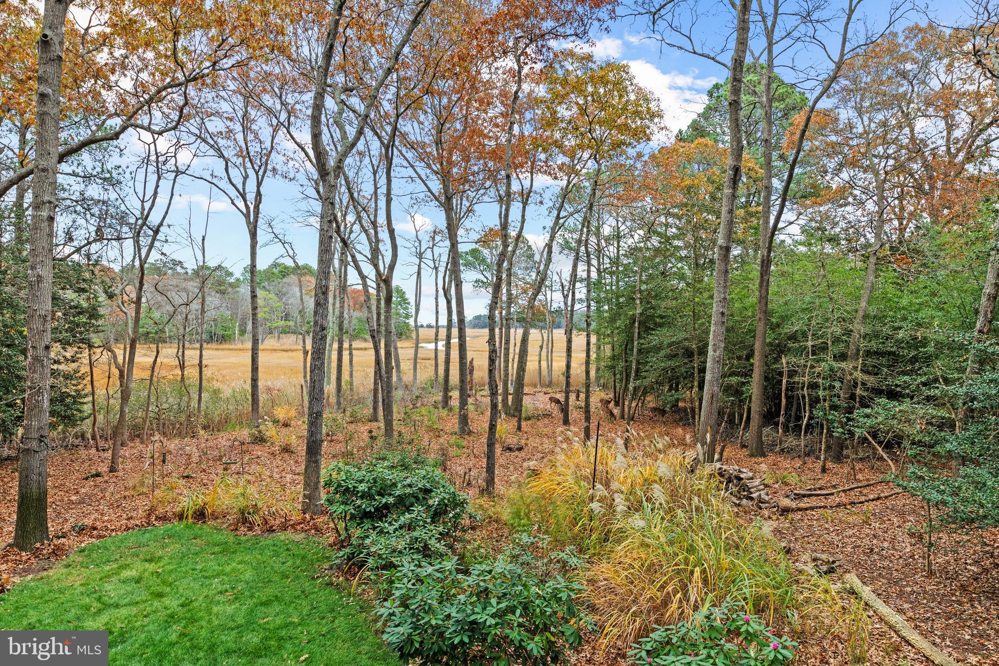 WOLFE RUNNE - Residential