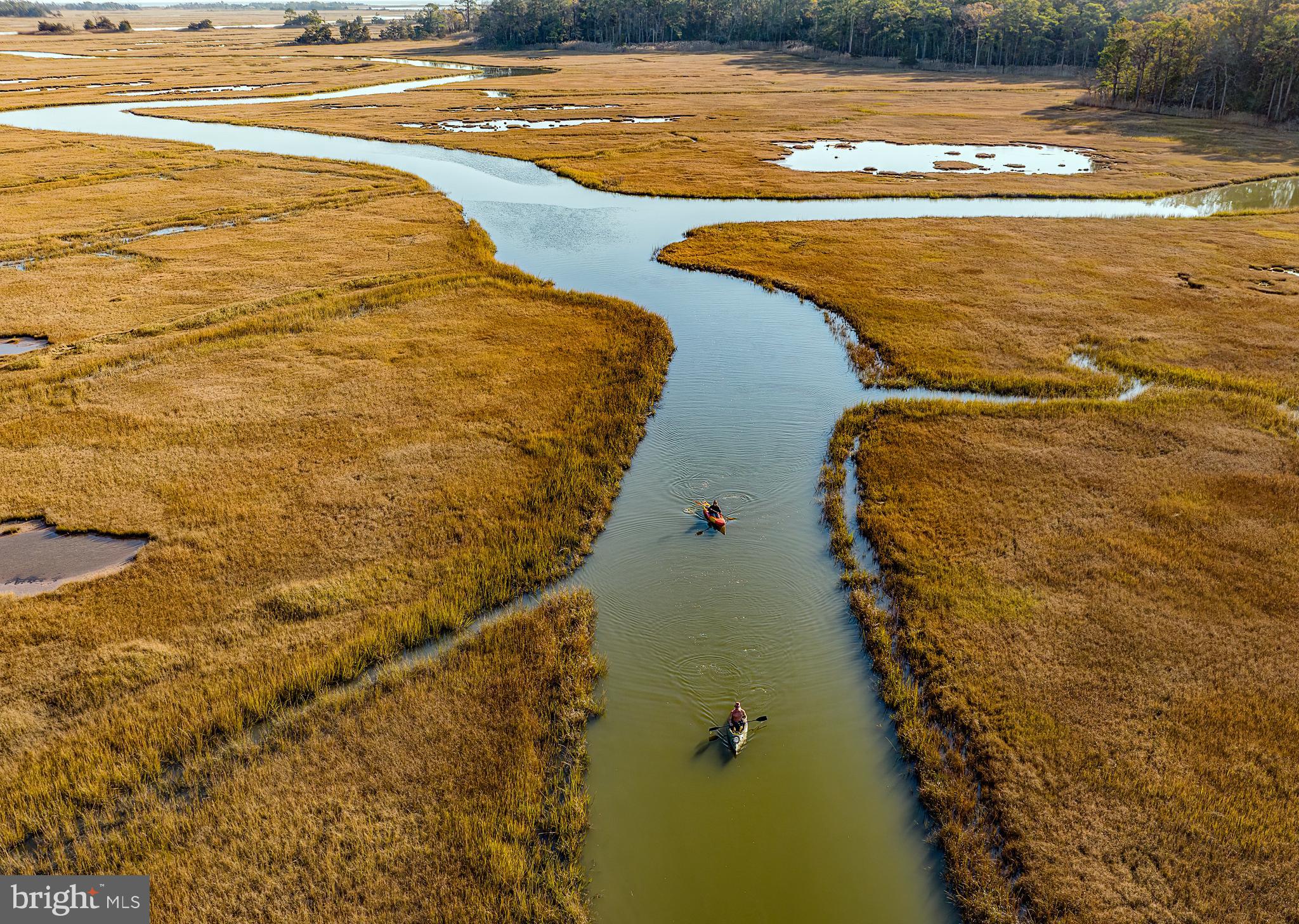 WOLFE RUNNE - Residential