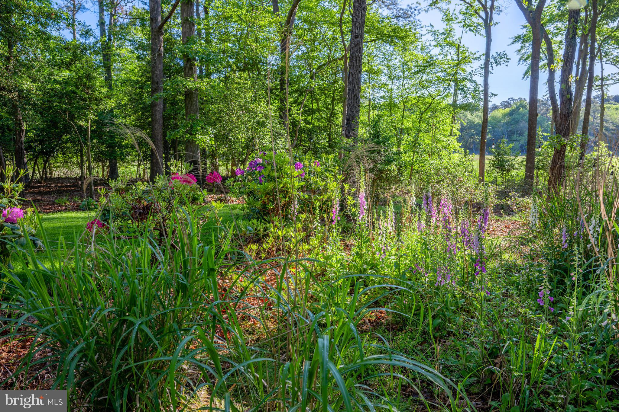WOLFE RUNNE - Residential