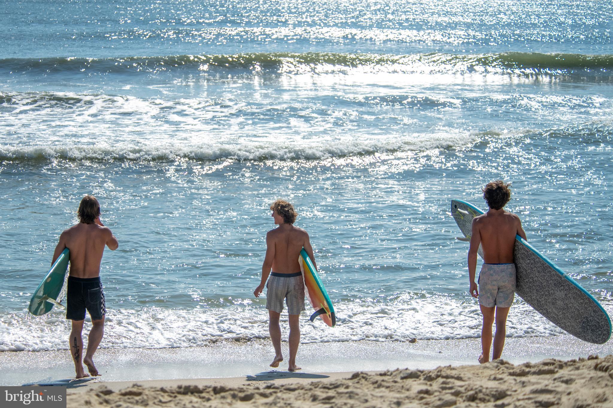 WOLFE RUNNE - Residential