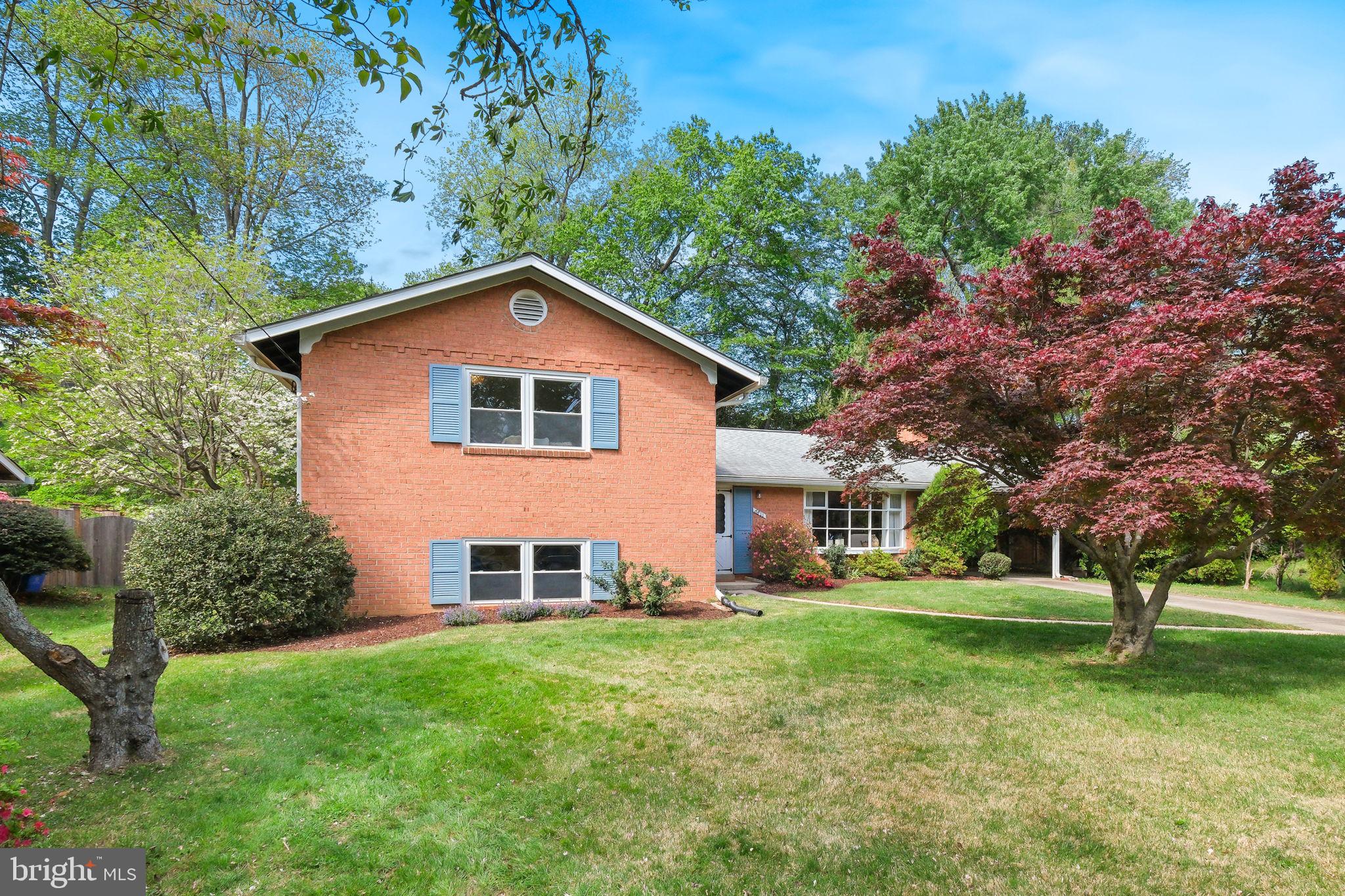 TILDEN WOODS - Residential