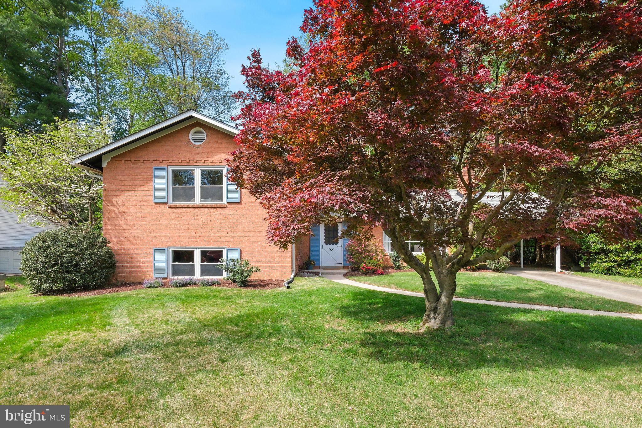 TILDEN WOODS - Residential