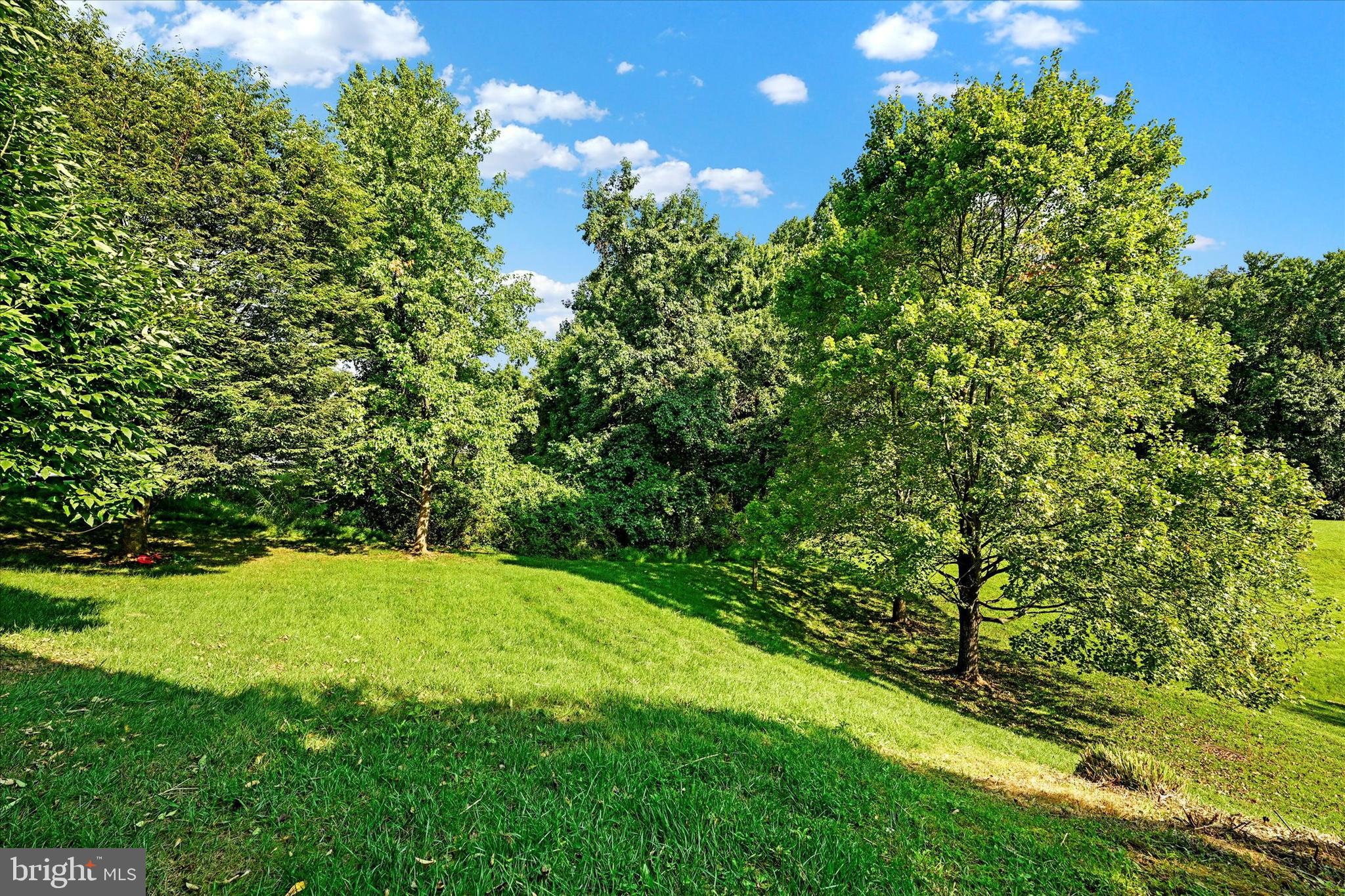 POINTERS RUN - Residential