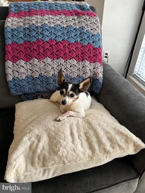 CHESTNUT POINT - Residential