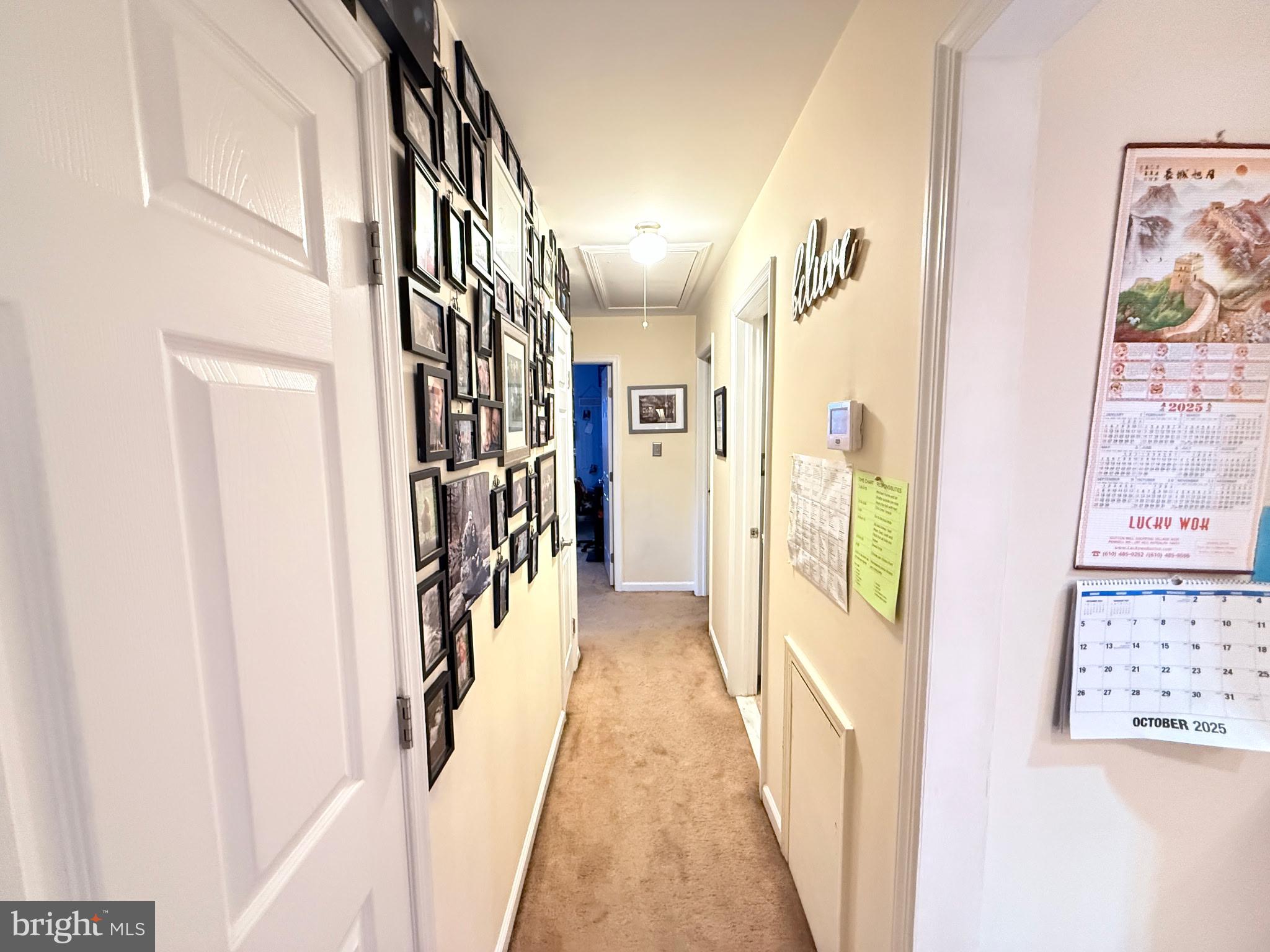 WILLOWBROOK - Residential