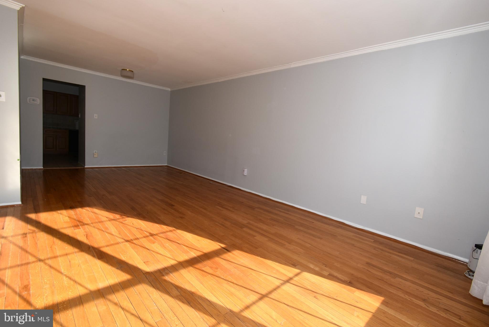 DORSEY SEARCH - Residential Lease