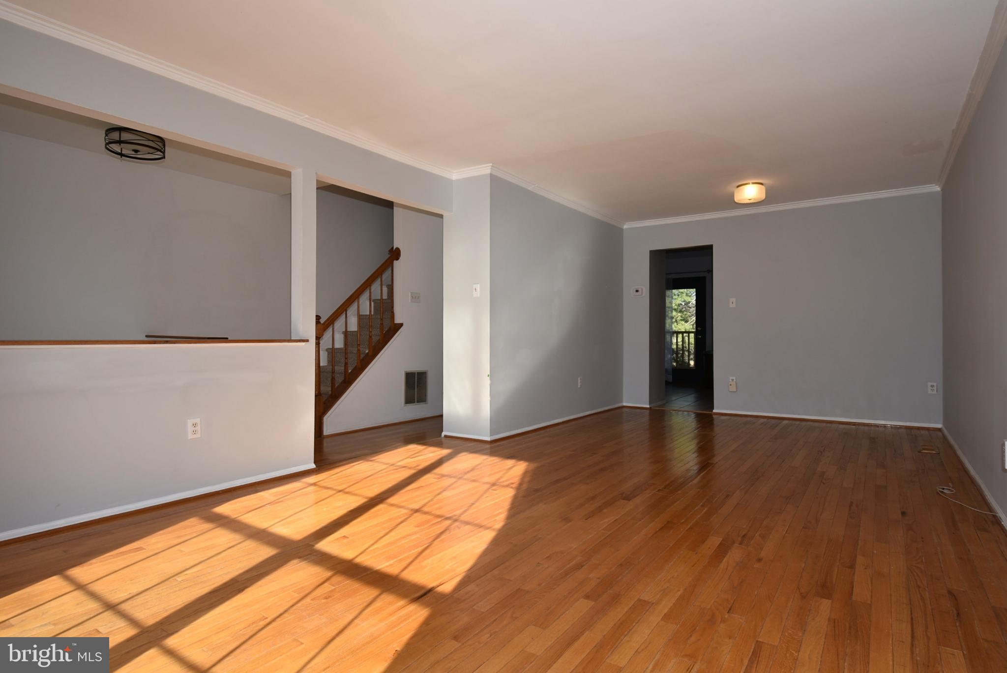 DORSEY SEARCH - Residential Lease