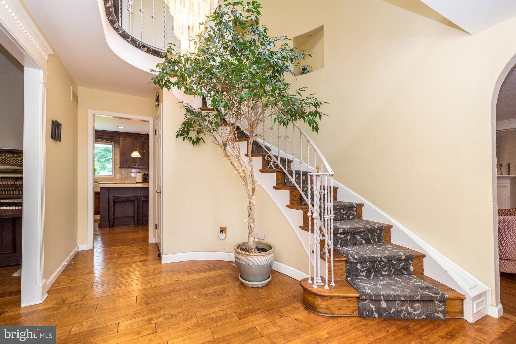 103 TANGLEBROOK